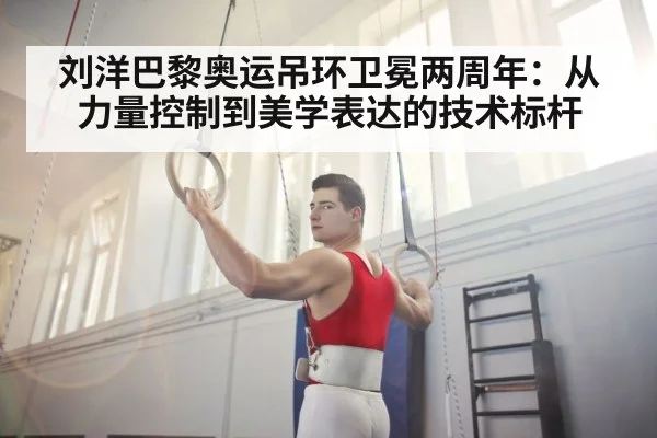 刘洋巴黎奥运吊环卫冕两周年：从力量控制到美学表达的技术标杆
