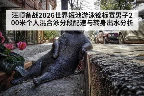 汪顺备战2026世界短池游泳锦标赛男子200米个人混合泳分段配速与转身出水分析